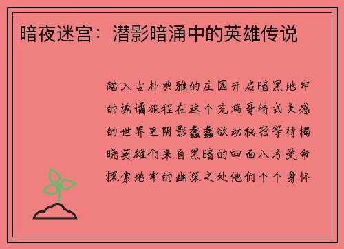 暗夜迷宫:潜影暗涌中的英雄传说